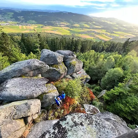 Wittinghof Apartment *