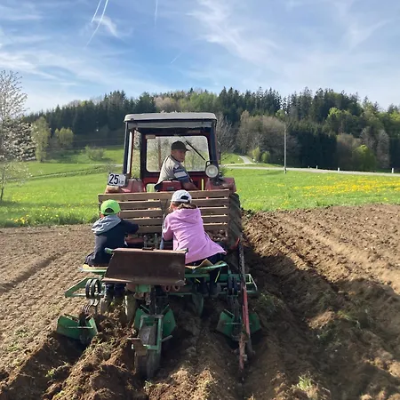 Wittinghof Apartment Julbach