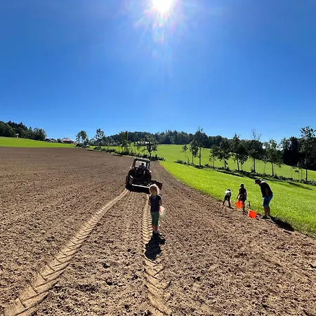 Wittinghof Apartment Julbach