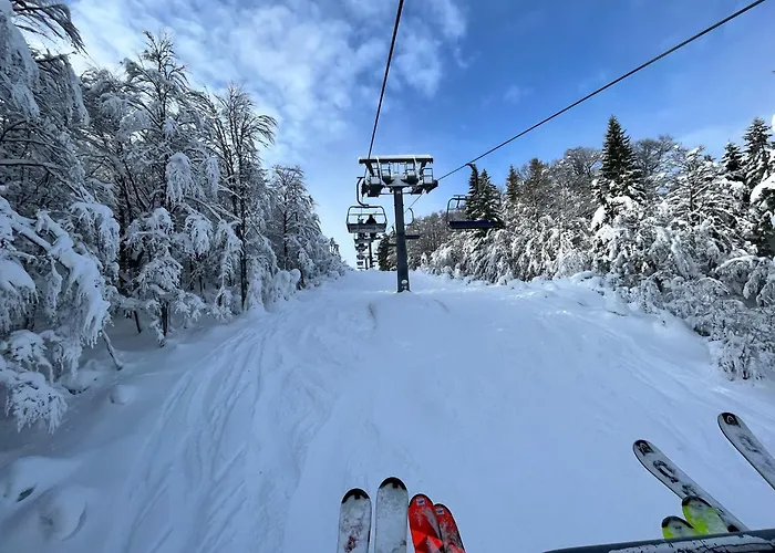 Wittinghof * Julbach