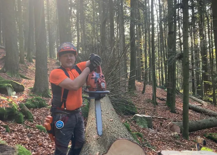 Wittinghof Apartamento