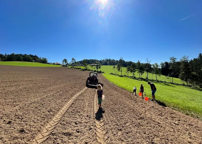 Wittinghof Apartamento Julbach