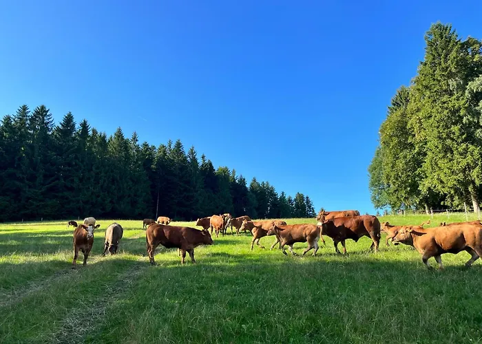 Wittinghof Apartamento