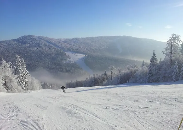 Wittinghof * Julbach