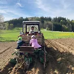 Wittinghof 公寓 Julbach