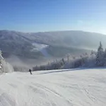 Wittinghof * Julbach