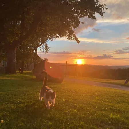 Wittinghof Apartament