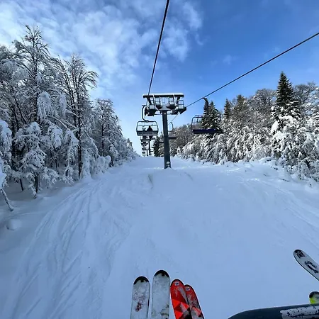 Wittinghof * Julbach