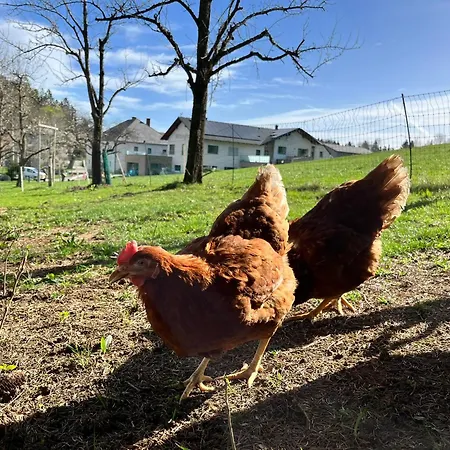 Apartament Wittinghof