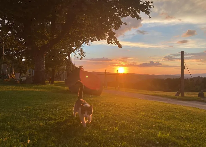 Wittinghof Апартаменты