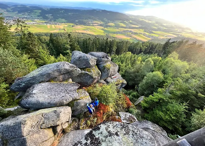 Wittinghof Апартаменты *