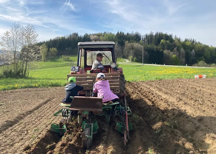 Wittinghof Апартаменты Julbach