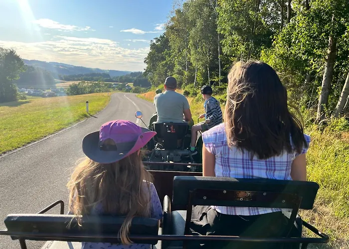 Апартаменты Wittinghof *