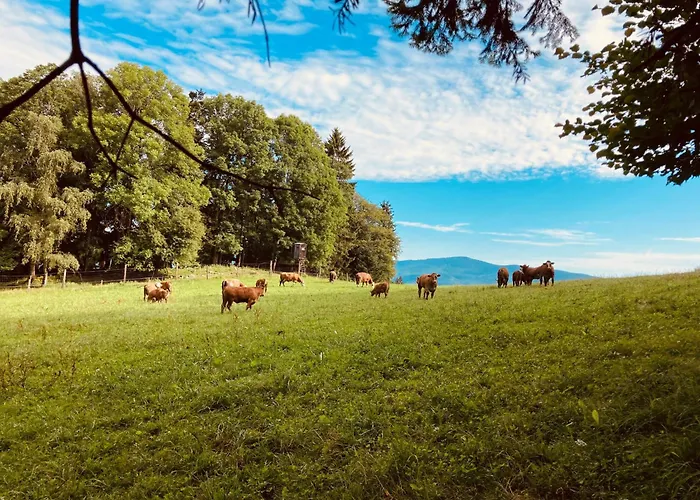 Wittinghof Апартаменты Julbach